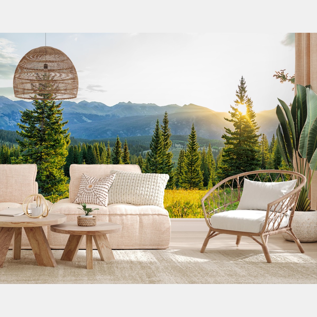 Papier peint lever de soleil sur la forêt alpine – Wallnifity®