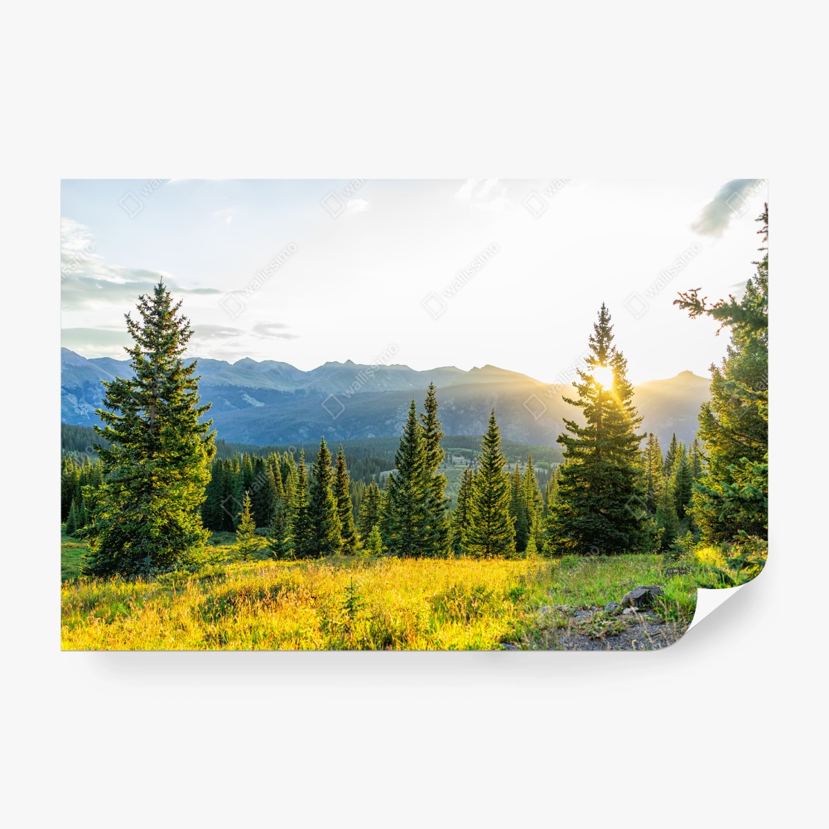 Papier peint lever de soleil sur la forêt alpine – Wallnifity®