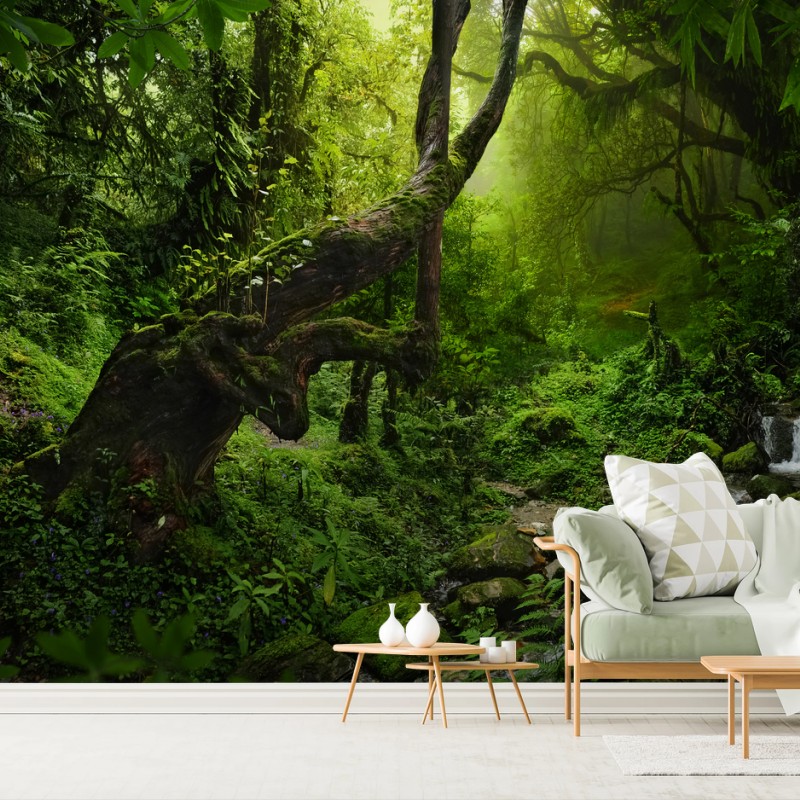Papier peint forêt enchantée au ruisseau tranquille – Wallnifity®