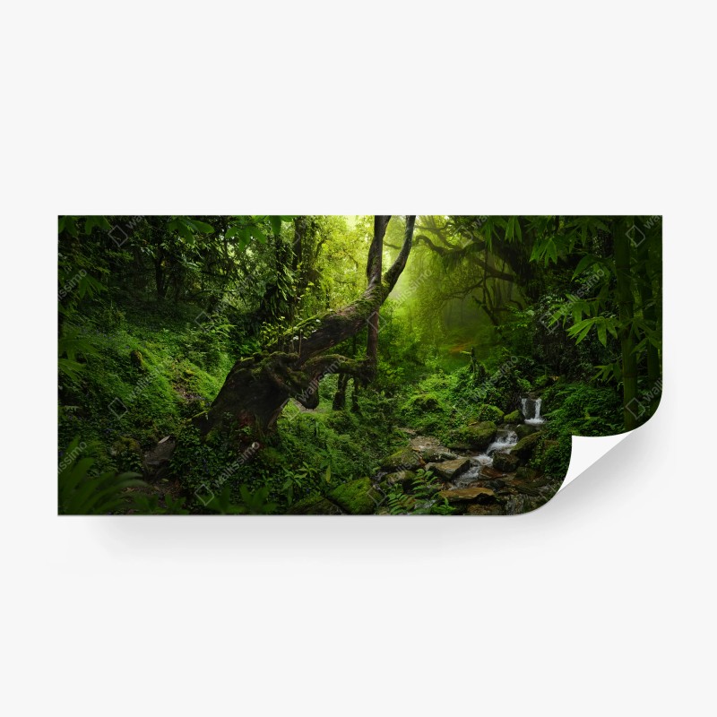 Papier peint forêt enchantée au ruisseau tranquille – Wallnifity®