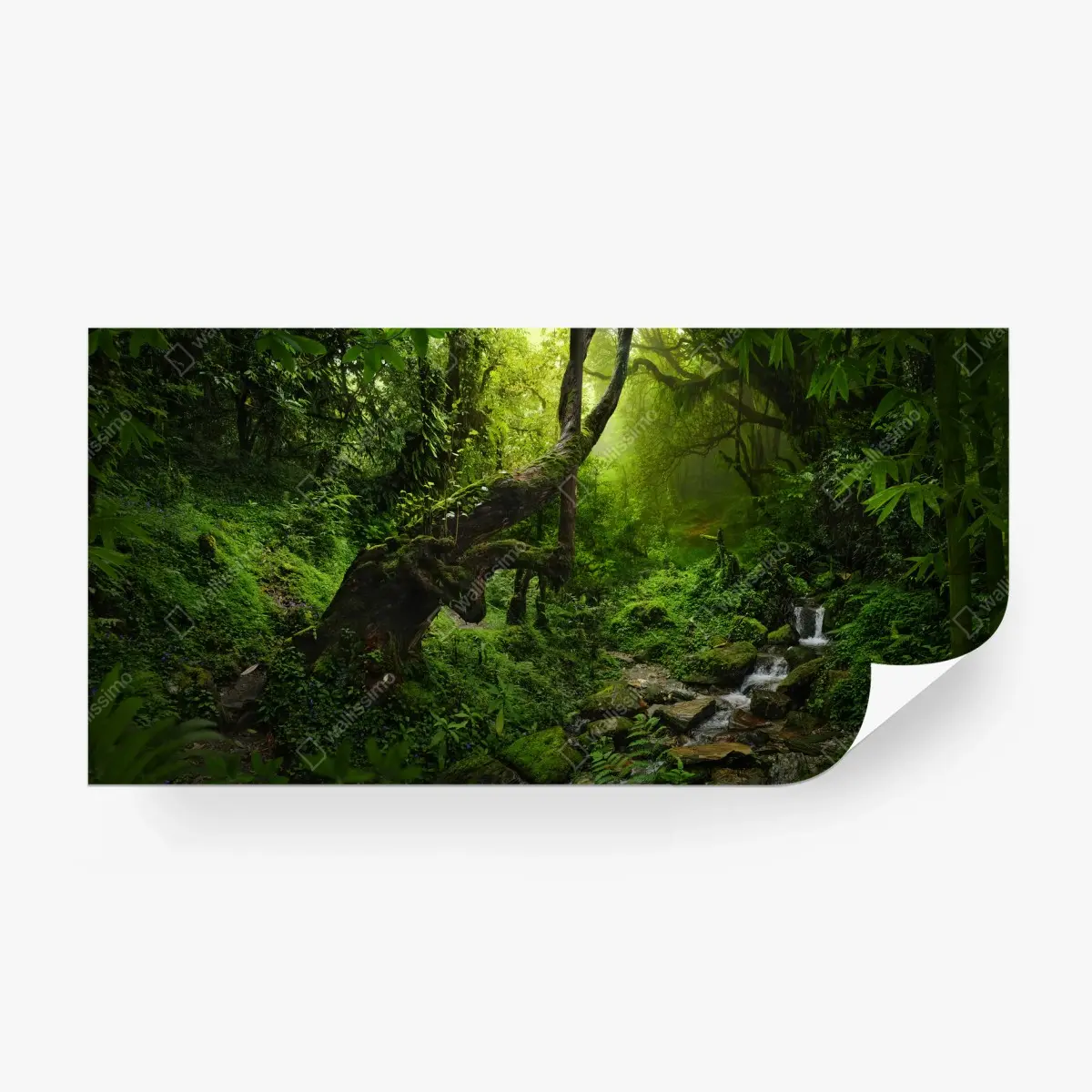 Papier peint forêt enchantée au ruisseau tranquille – Wallnifity®