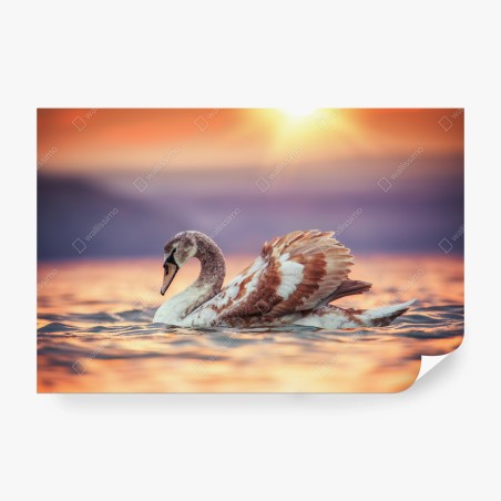 Papier peint cygne au coucher de soleil doré – Wallnifity®