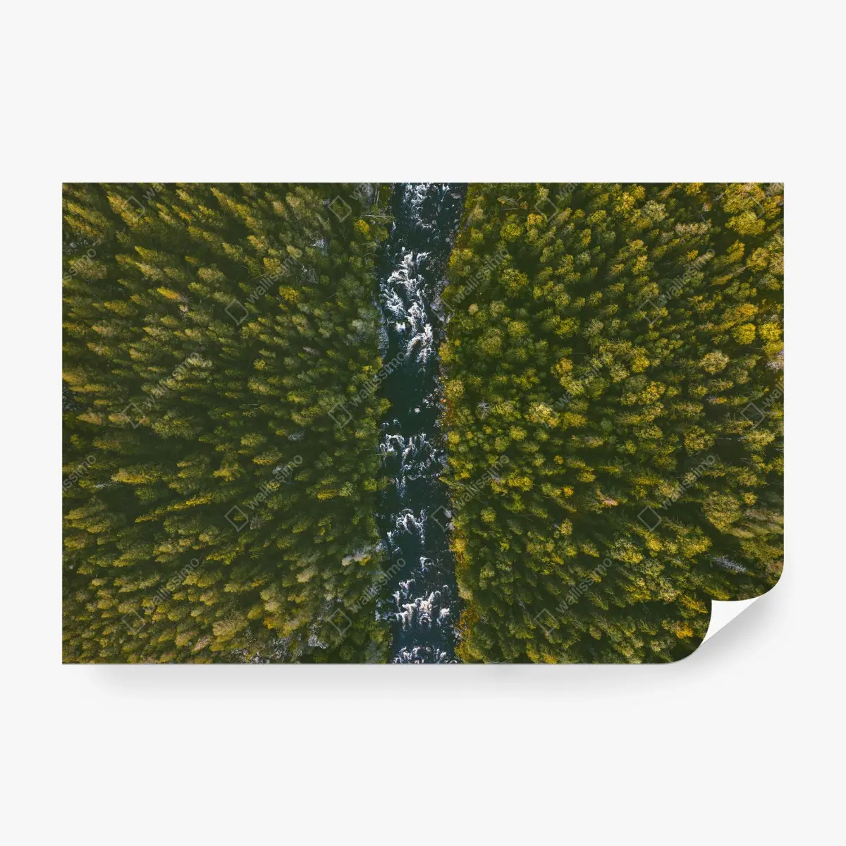 Papier peint couloir d'eau au cœur de la forêt – Wallnifity®