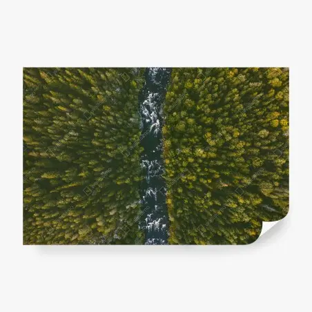 Papier peint couloir d'eau au cœur de la forêt – Wallnifity®