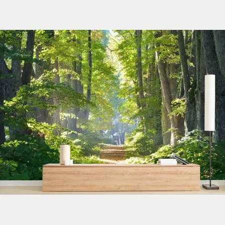 Papier peint chemin forestier baigné de lumière – Wallnifity®