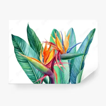 Papier peint composition tropicale d'oiseaux de paradis en aquarelle – Wallnifity®