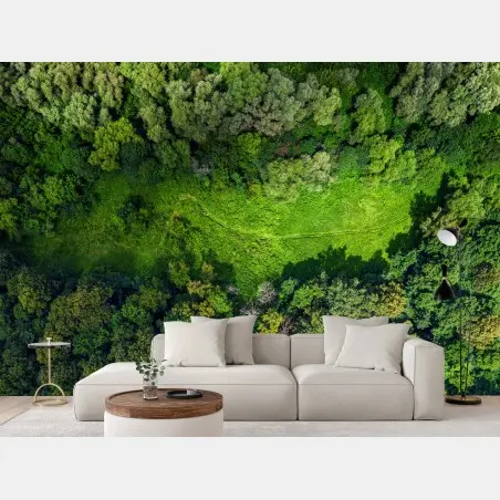 Papier peint vue aérienne d'une forêt et d'une clairière verdoyante – Wallnifity®