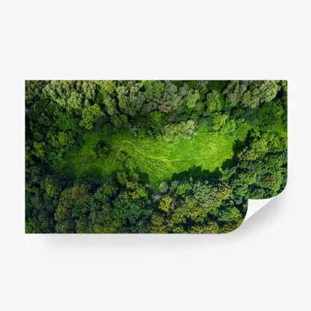 Papier peint vue aérienne d'une forêt et d'une clairière verdoyante – Wallnifity®