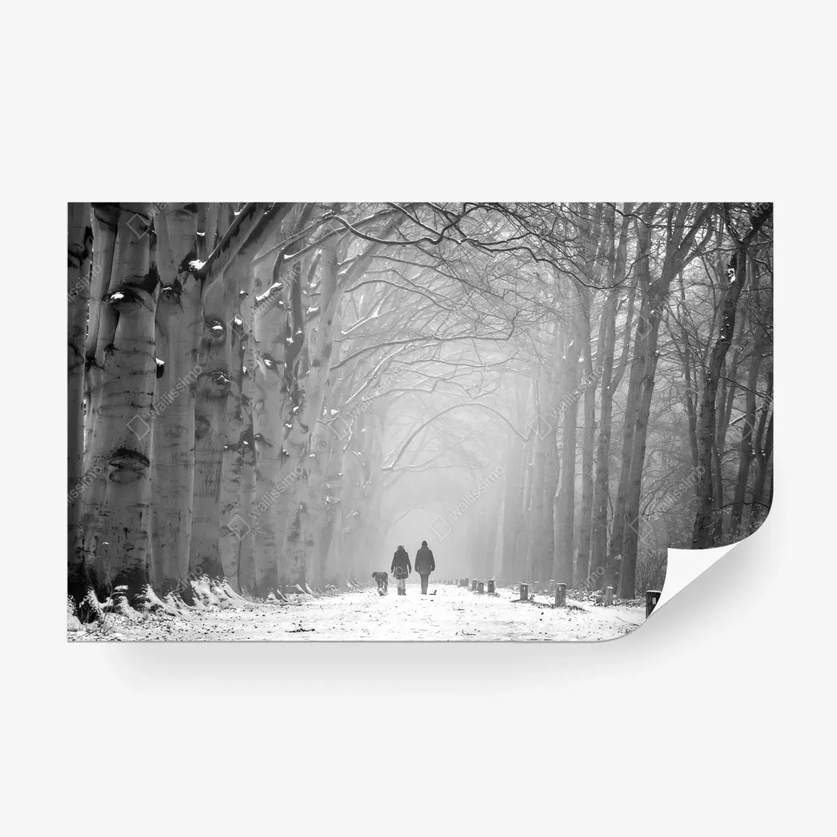 Papier peint allée enneigée sous la brume – Wallnifity®