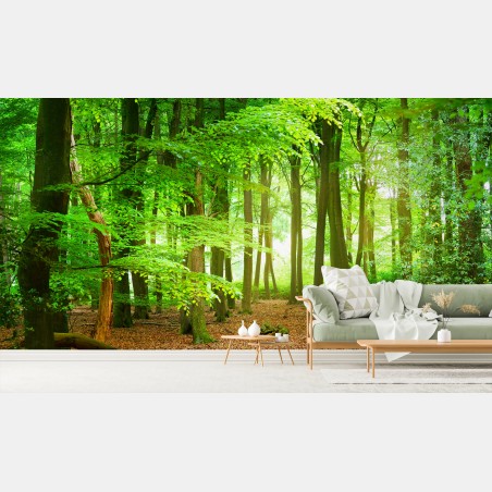 Papier peint forêt lumineuse aux feuillages verts – Wallnifity®