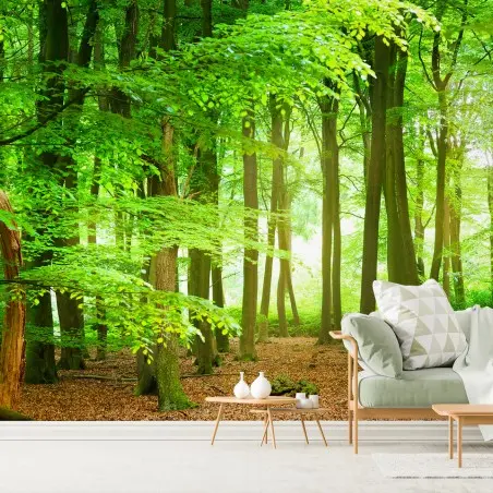 Papier peint forêt lumineuse aux feuillages verts – Wallnifity®
