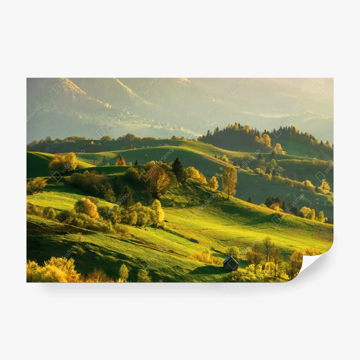 Papier peint douceur des collines au coucher du soleil – Wallnifity® Papier peint douceur des collines au coucher du soleil – Wallnifity®