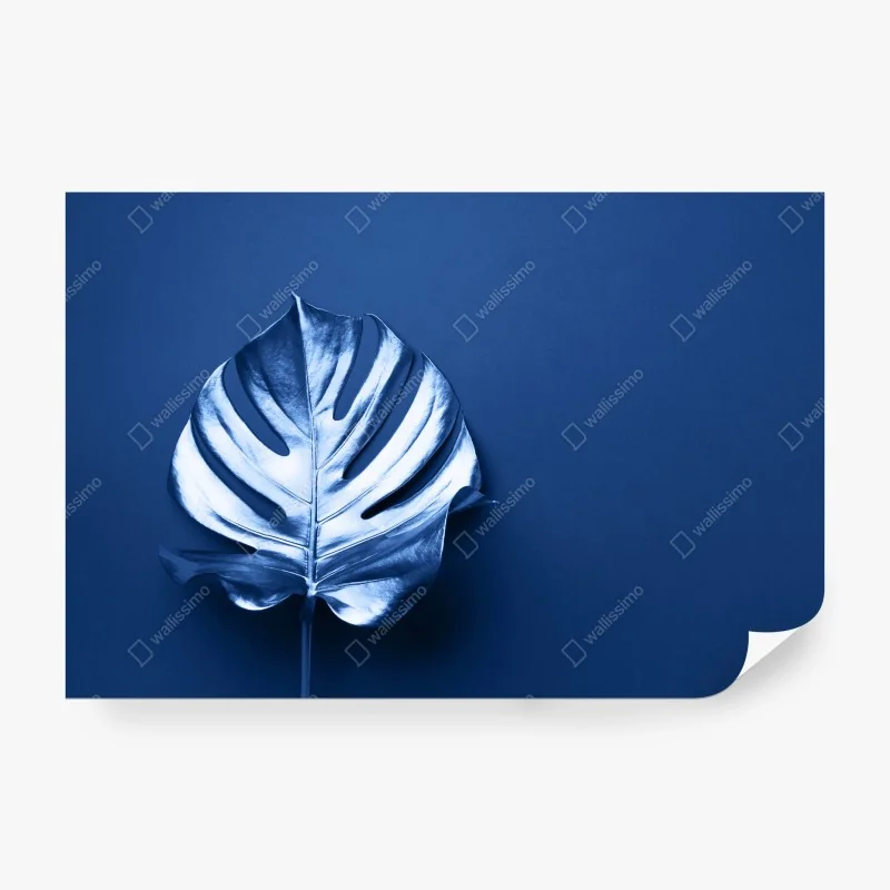 Papier peint feuille monstera bleue minimaliste – Wallnifity® Papier peint feuille monstera bleue minimaliste – Wallnifity®