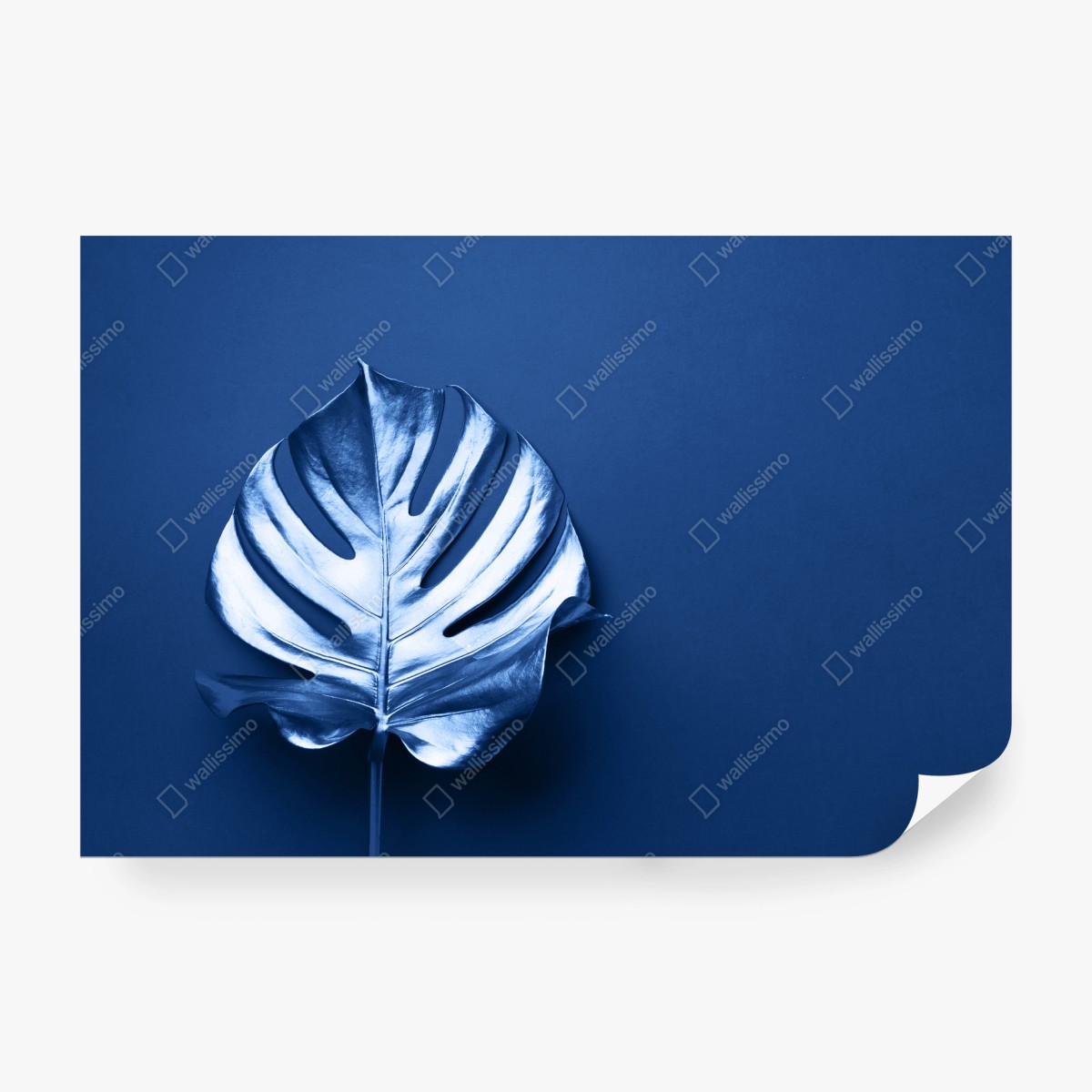 Papier peint feuille monstera bleue minimaliste – Wallnifity® Papier peint feuille monstera bleue minimaliste – Wallnifity®