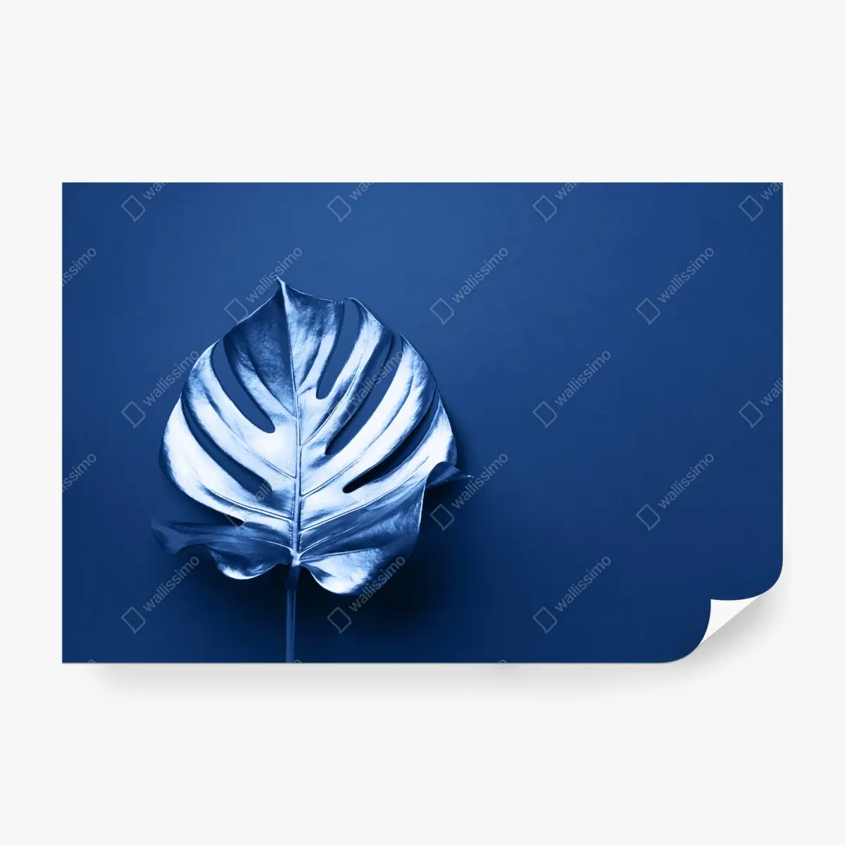 Papier peint feuille monstera bleue minimaliste – Wallnifity®