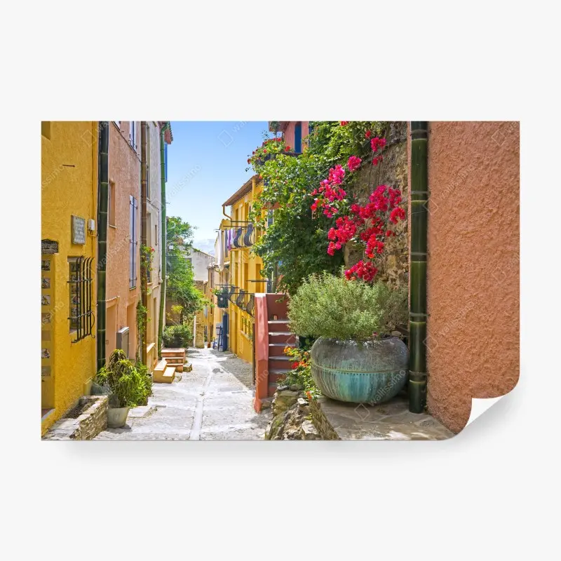 Fleurs et plantes – Wallnifity®