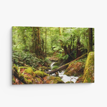 Tableau sur toile refuge verdoyant de la forêt de Victoria – Wallnifity®