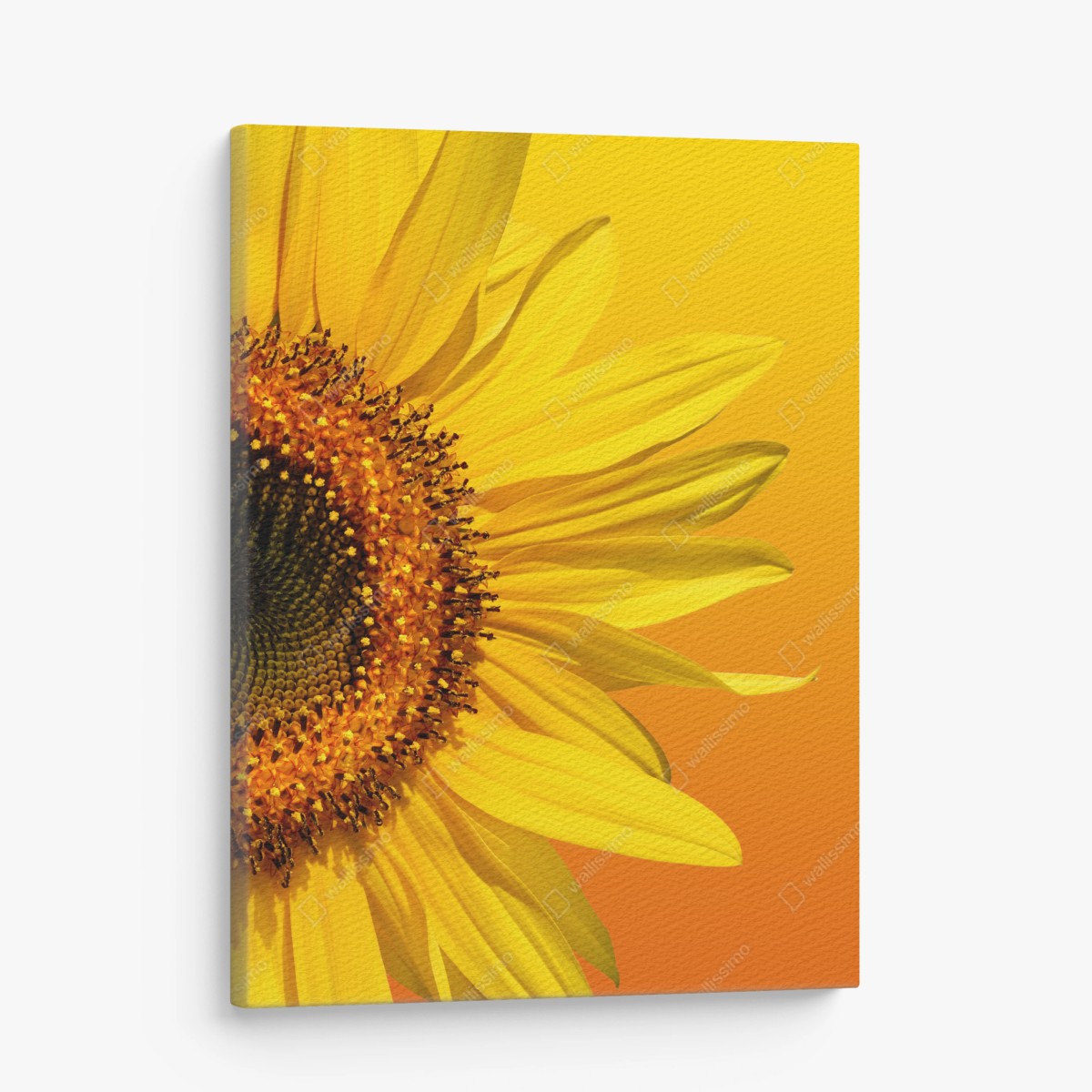 Tableau sur toile élégance du tournesol sur fond orangé – Wallnifity® Tableau sur toile élégance du tournesol sur fond orangé – Wallnifity®