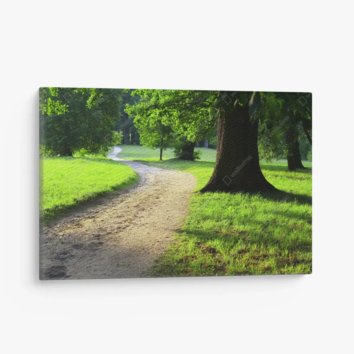 Tableau sur toile chemin sinueux dans un parc verdoyant en fin d'après-midi – Wallnifity®