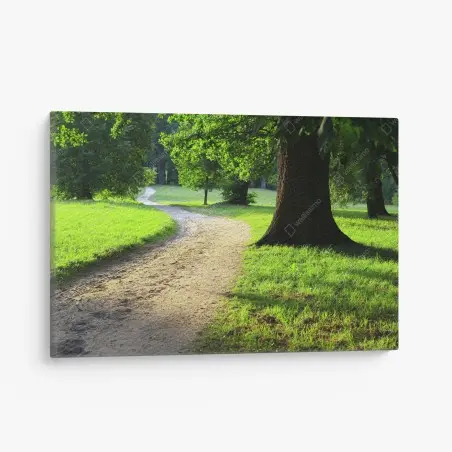Tableau sur toile chemin sinueux dans un parc verdoyant en fin d'après-midi – Wallnifity®