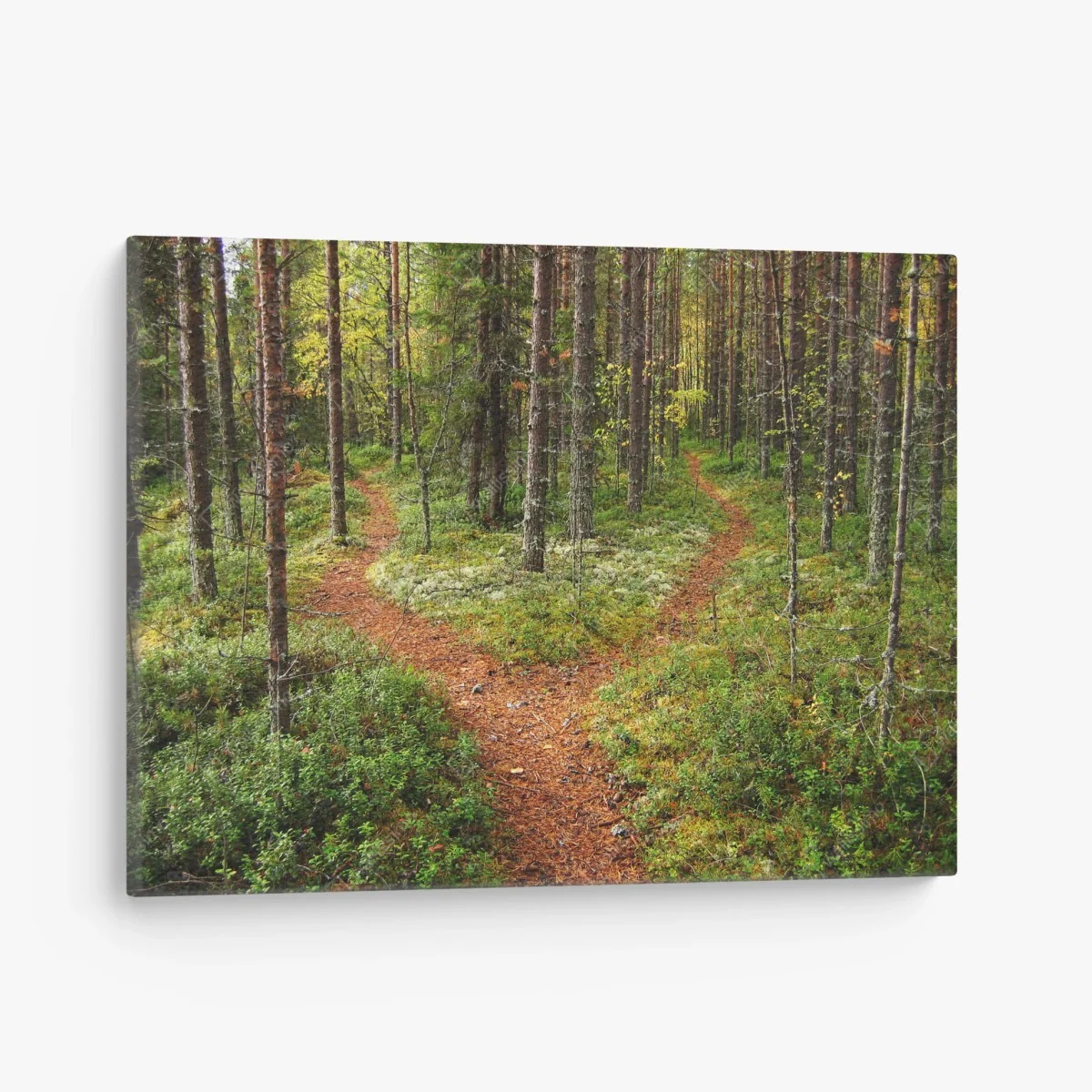 Tableau sur toile chemin forestier en bifurcation – Wallnifity® Tableau sur toile chemin forestier en bifurcation – Wallnifity®