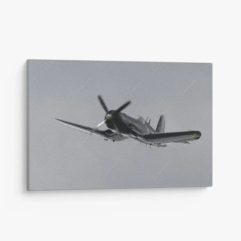 Avions – Wallnifity®