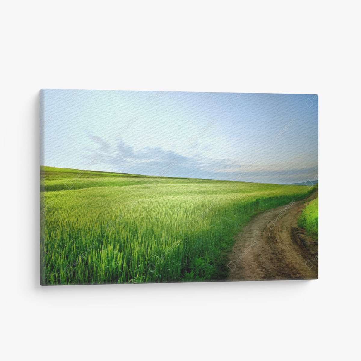 Tableau sur toile paysage champêtre avec chemin et ciel bleu – Wallnifity®