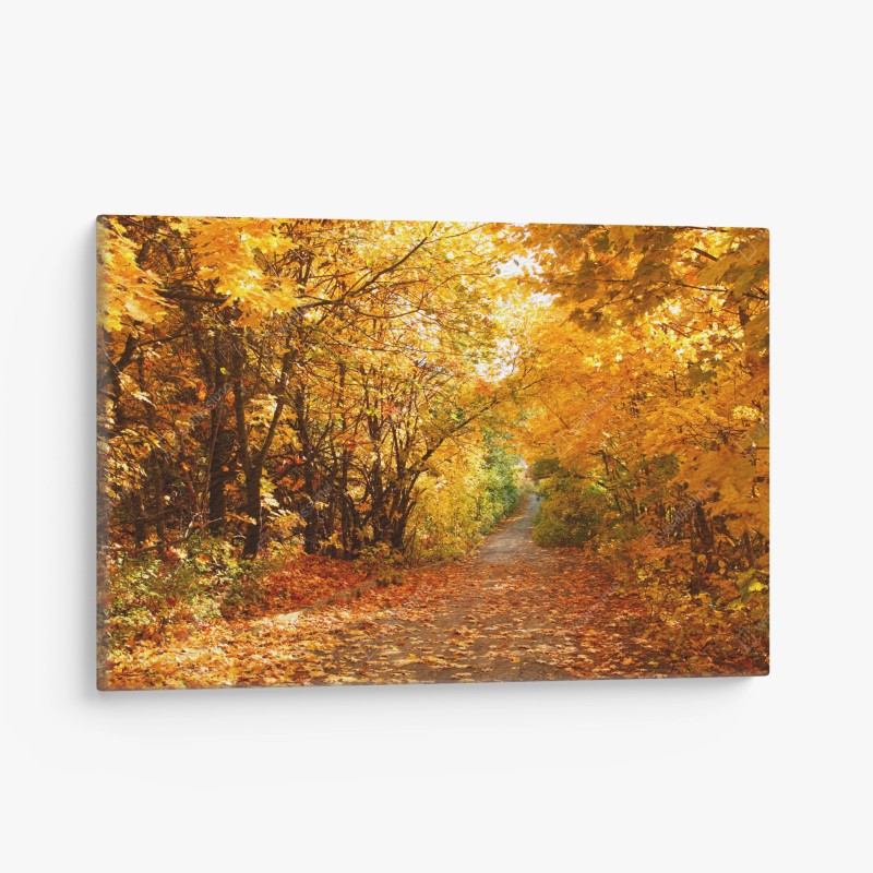 Tableau sur toile chemin d'automne doré – Wallnifity® Tableau sur toile chemin d'automne doré – Wallnifity®
