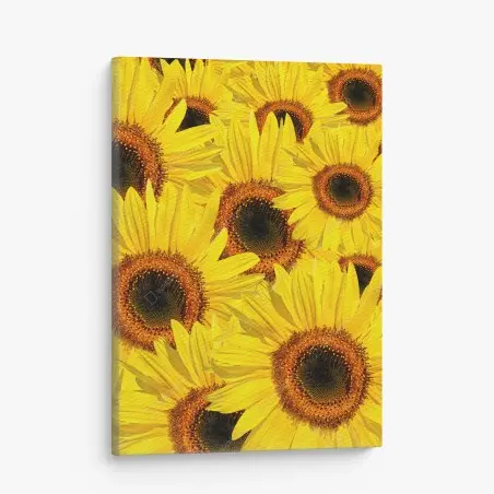 Tableau sur toile merveille de tournesols éclatants – Wallnifity®