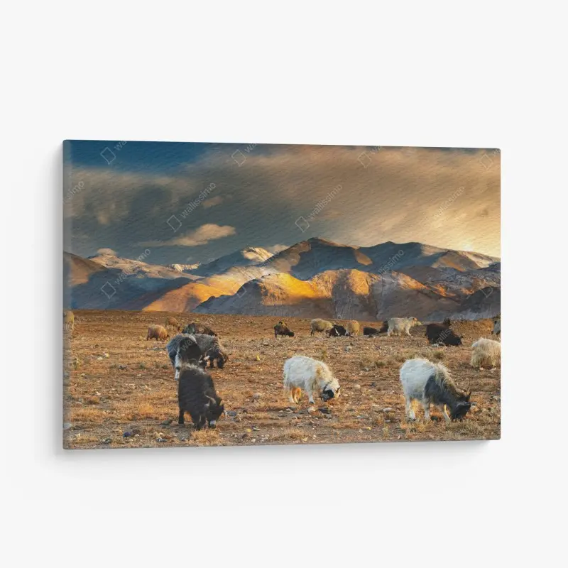 Nature – Wallnifity®