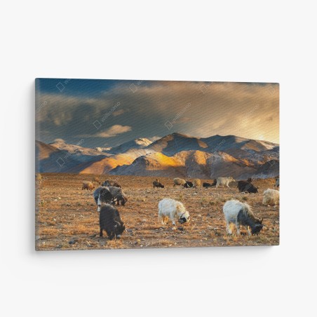 Tableau sur toile paysage du Tibet au coucher de soleil – Wallnifity®