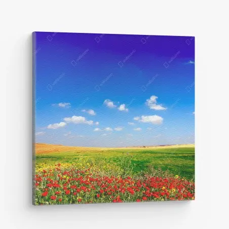 Tableau sur toile prairie de coquelicots sous un ciel d'azur – Wallnifity®
