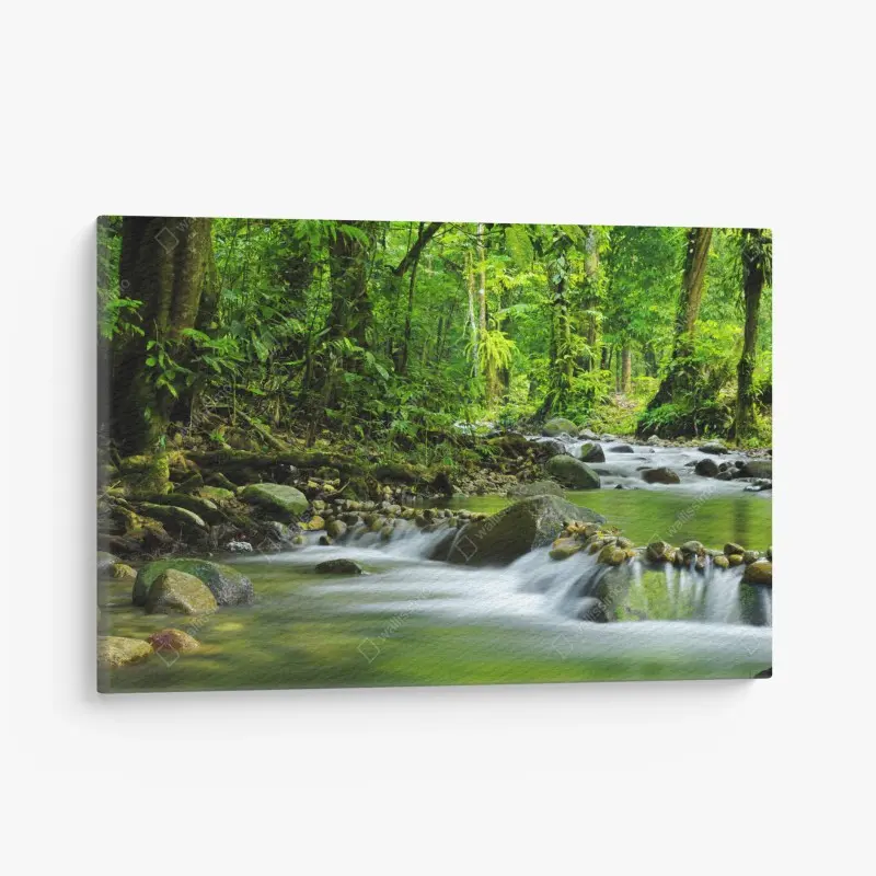 Rivière et lacs – Wallnifity®