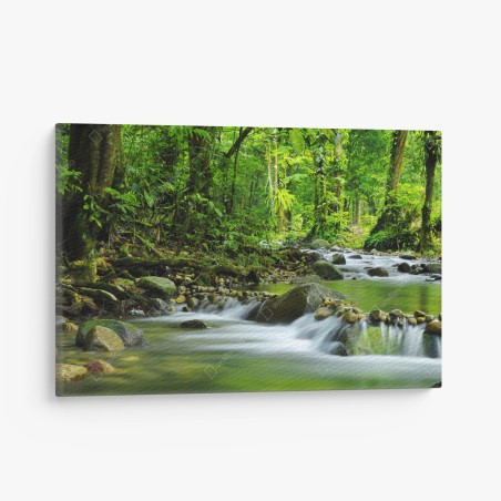 Tableau sur toile rivière paisible en forêt verdoyante – Wallnifity®