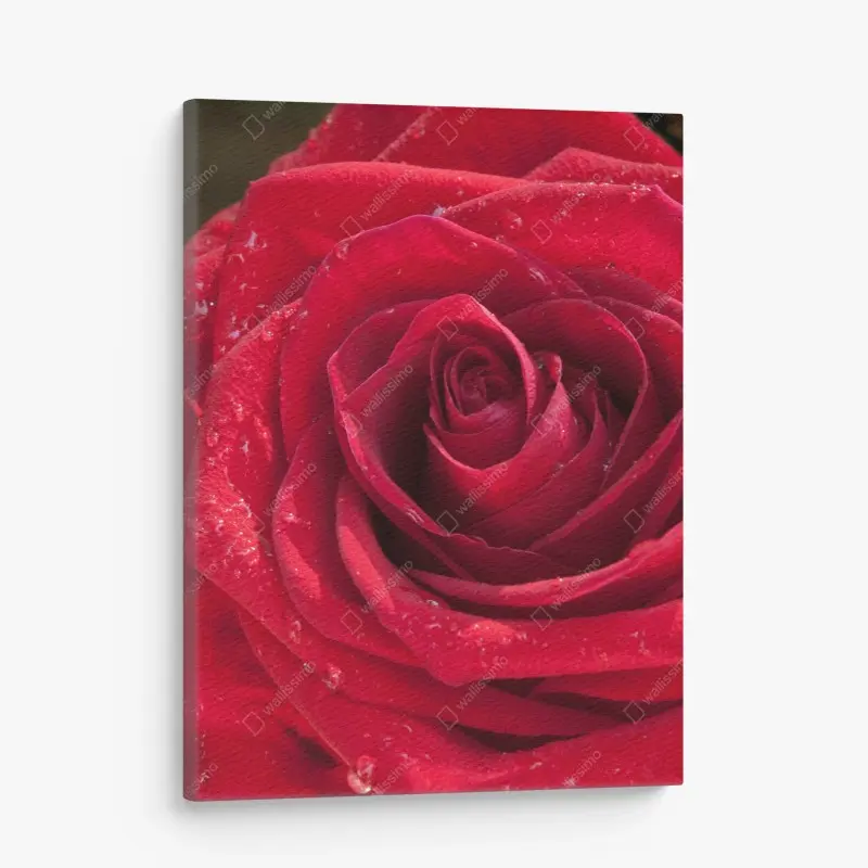 Fleurs – Wallnifity®