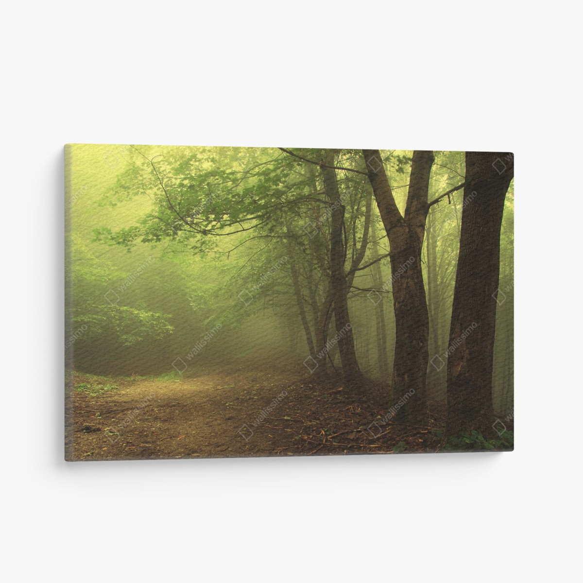 Tableau sur toile chemin forestier dans la brume – Wallnifity®