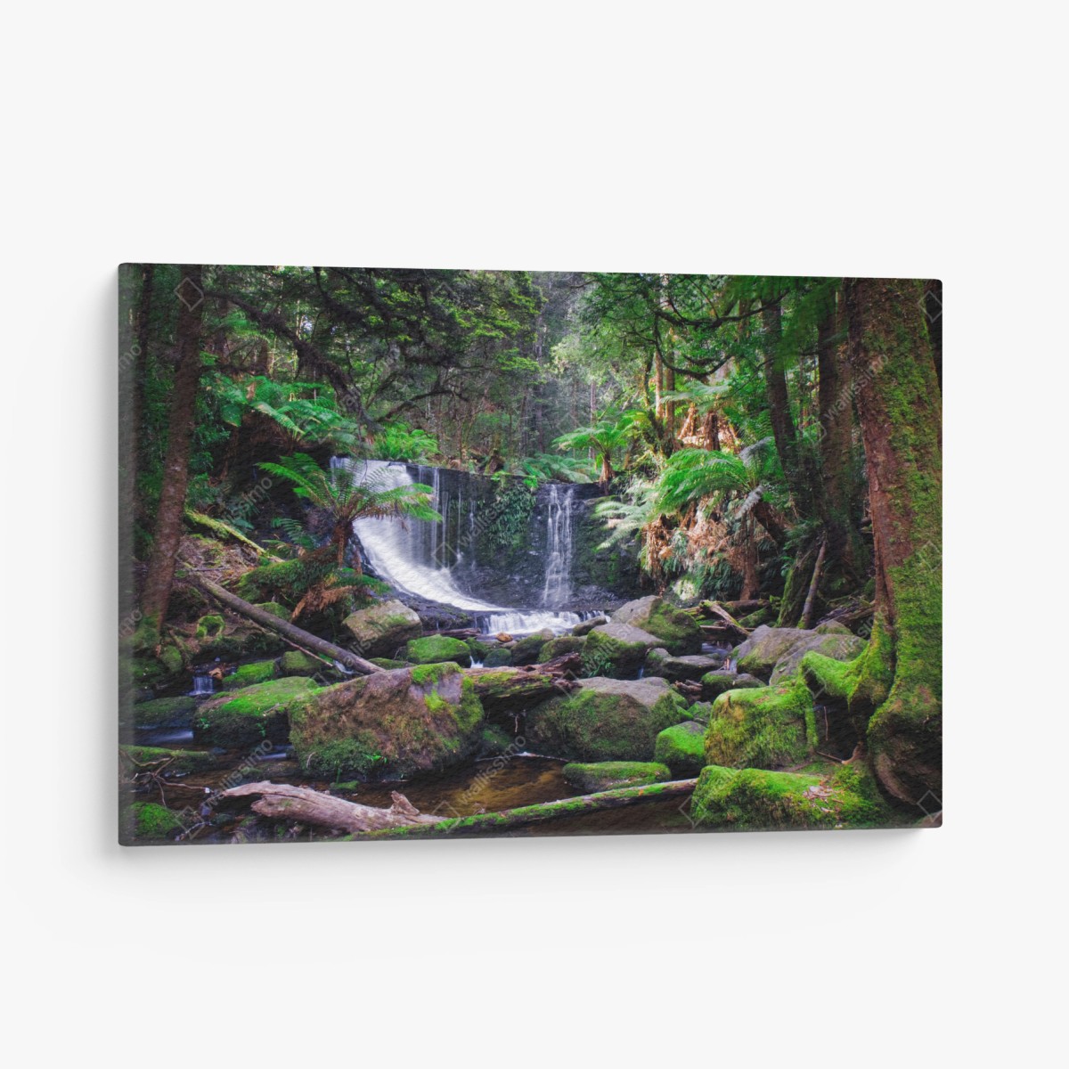 Tableau sur toile oasis de mousse et cascade en forêt – Wallnifity®