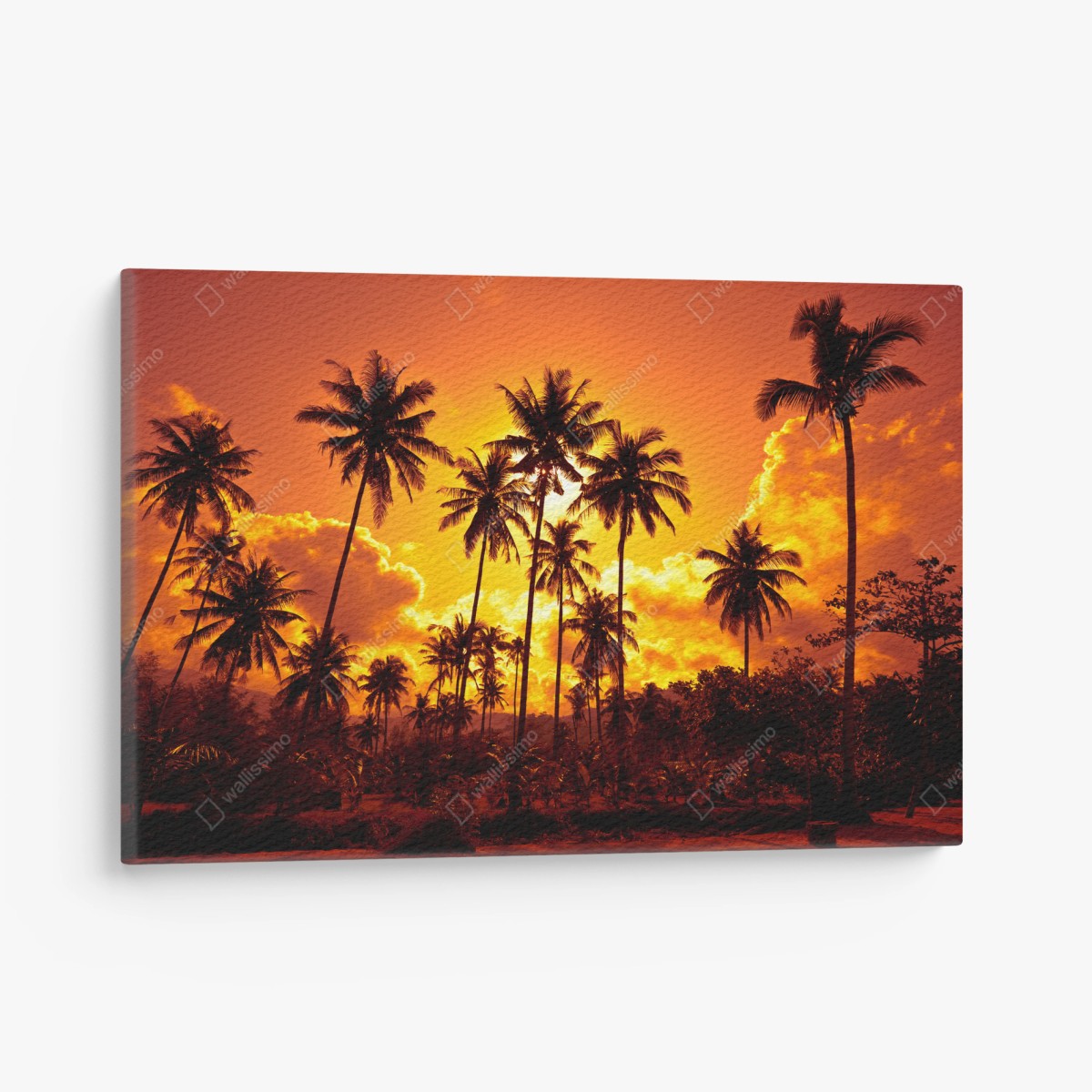 Tableau sur toile ciel en feu et palmiers tropicaux – Wallnifity®