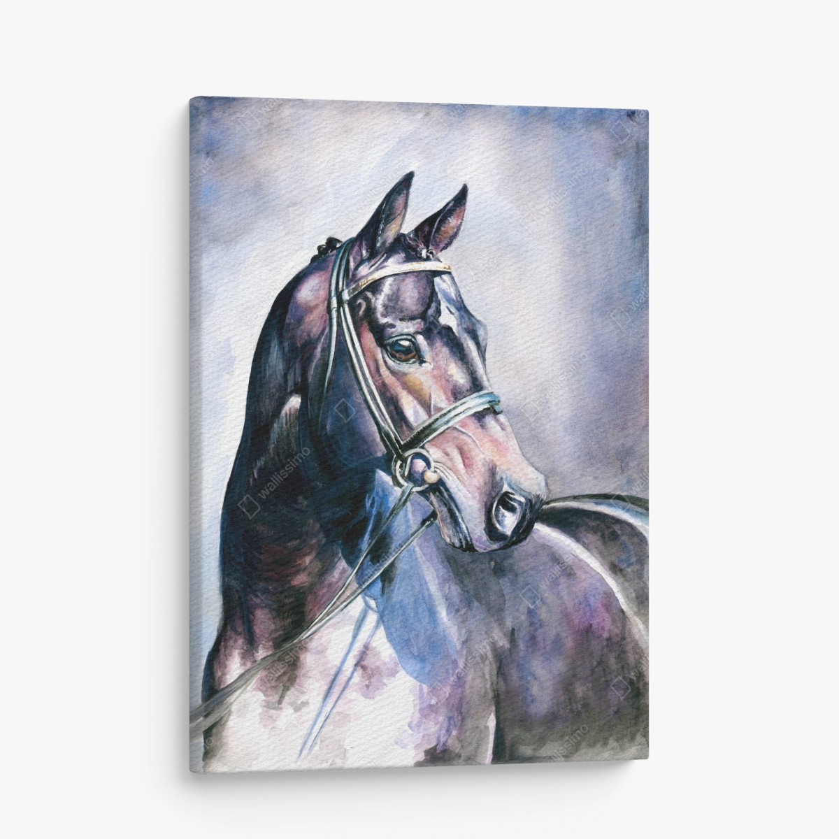 Tableau sur toile portrait de cheval en aquarelle élégant – Wallnifity® Tableau sur toile portrait de cheval en aquarelle élégant – Wallnifity®