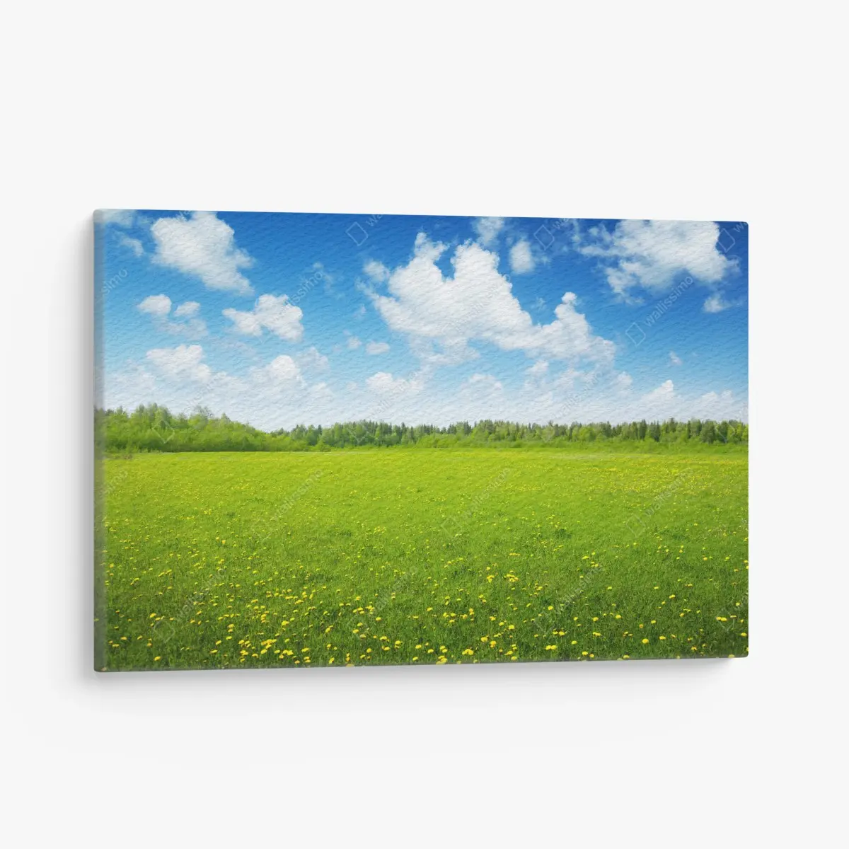 Tableau sur toile prairie printanière sous un ciel bleu – Wallnifity®