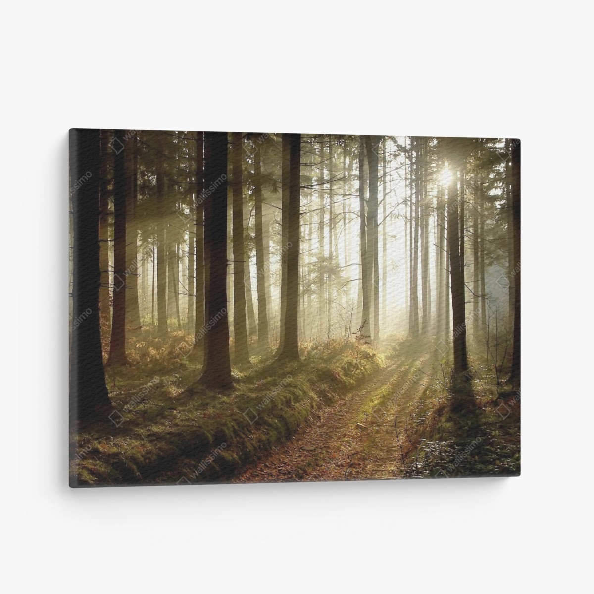 Tableau sur toile sentier brumeux au lever du soleil – Wallnifity®