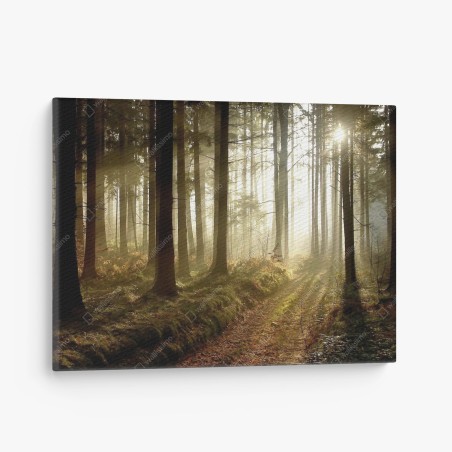 Tableau sur toile sentier brumeux au lever du soleil – Wallnifity®