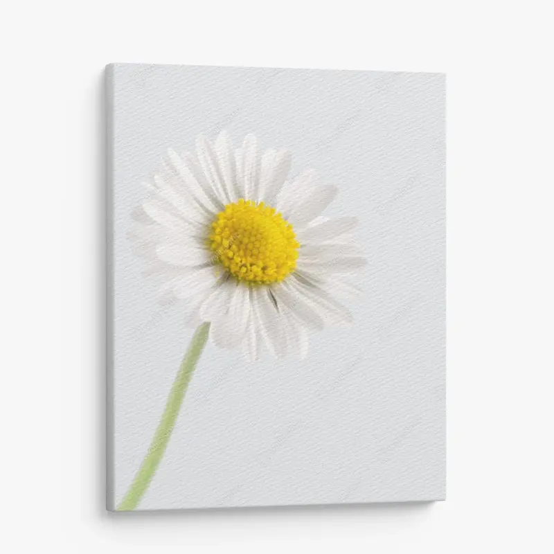 Minimaliste – Wallnifity®