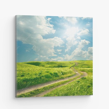 Tableau sur toile chemin ensoleillé à travers la prairie – Wallnifity®