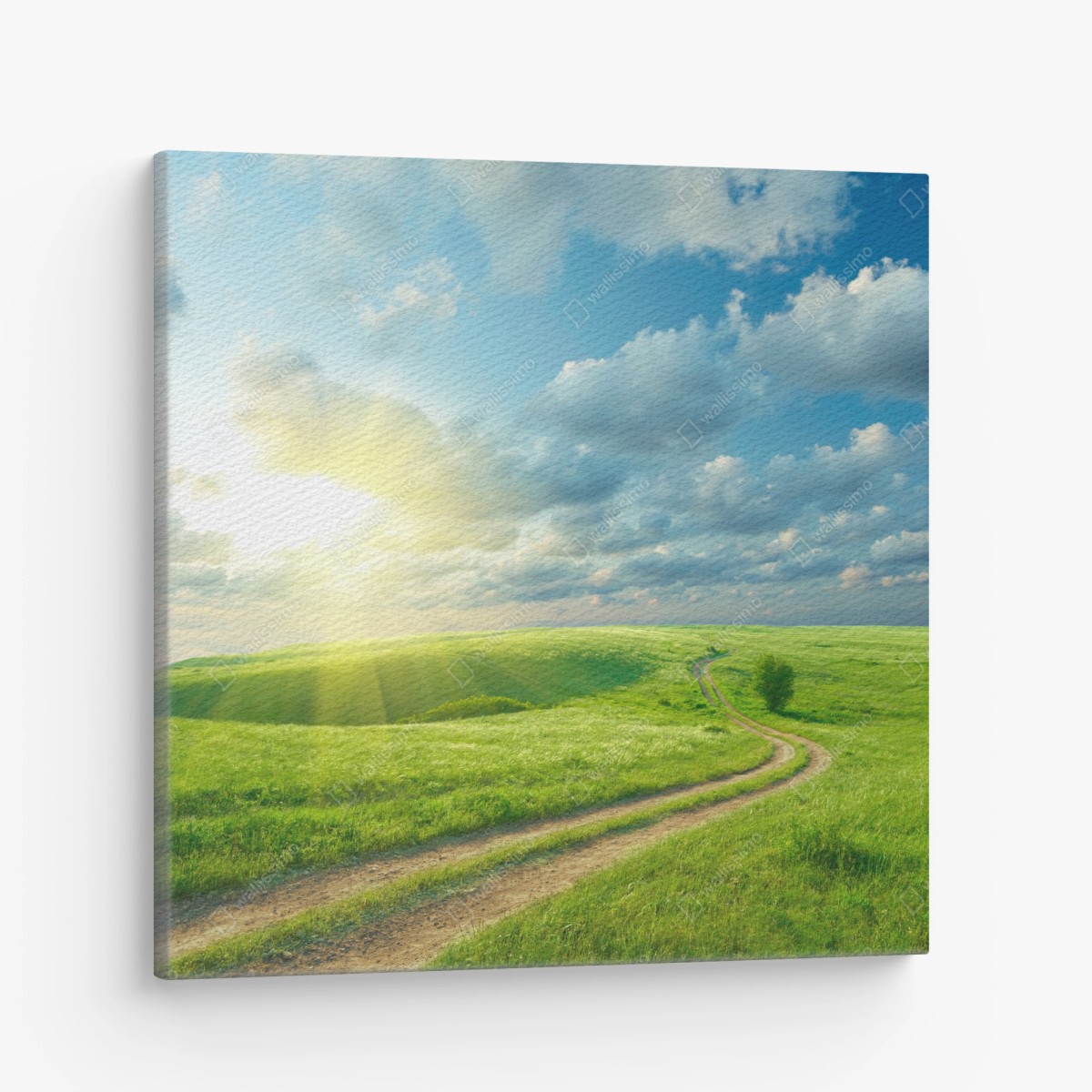 Tableau sur toile route sinueuse au cœur d'une prairie verdoyante – Wallnifity®