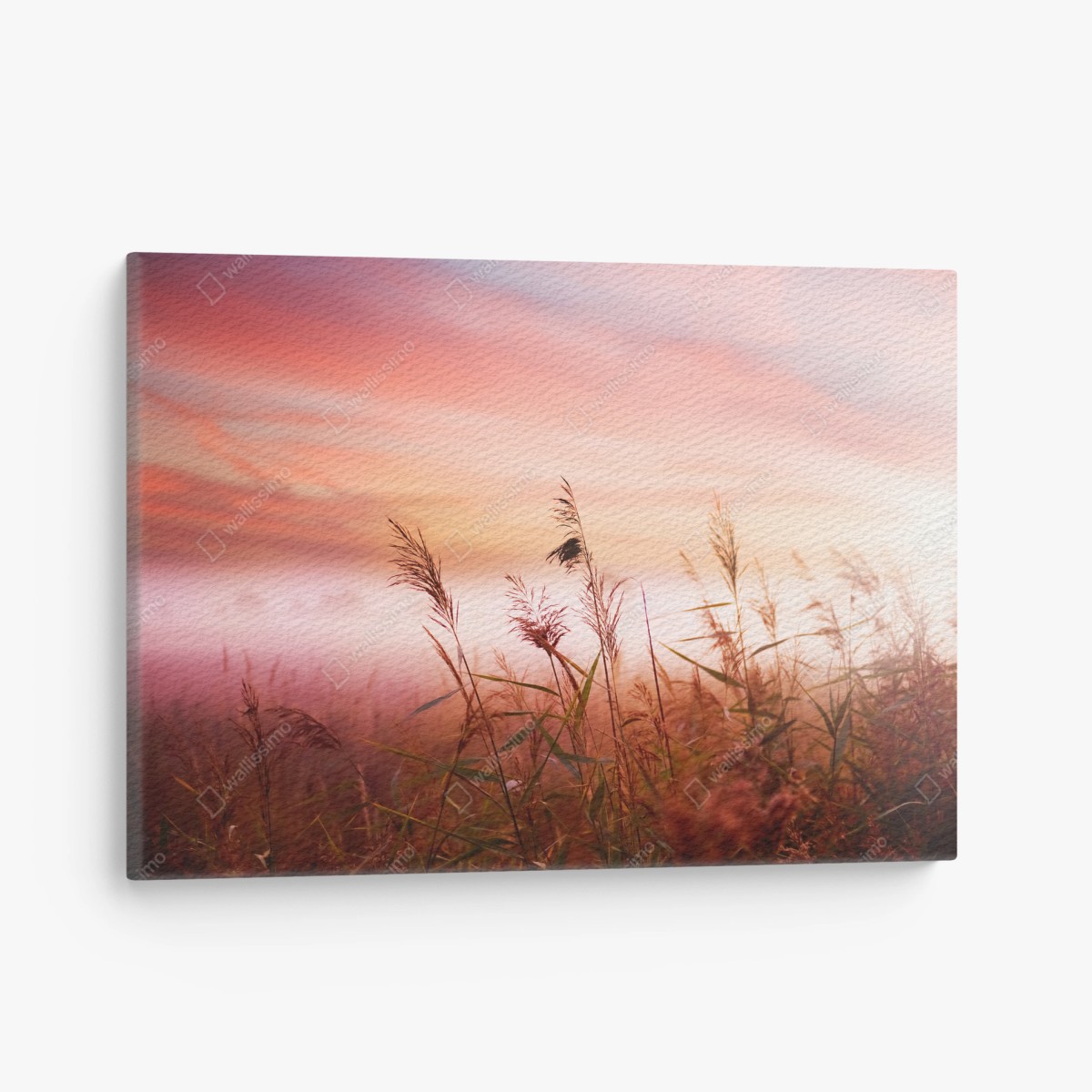 Tableau sur toile roseaux au lever du soleil – Wallnifity® Tableau sur toile roseaux au lever du soleil – Wallnifity®