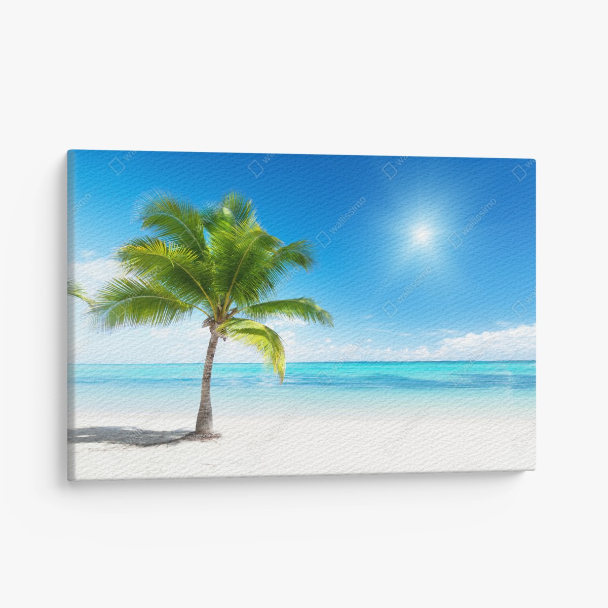 Tableau sur toile palmier sur plage tropicale – Wallnifity®
