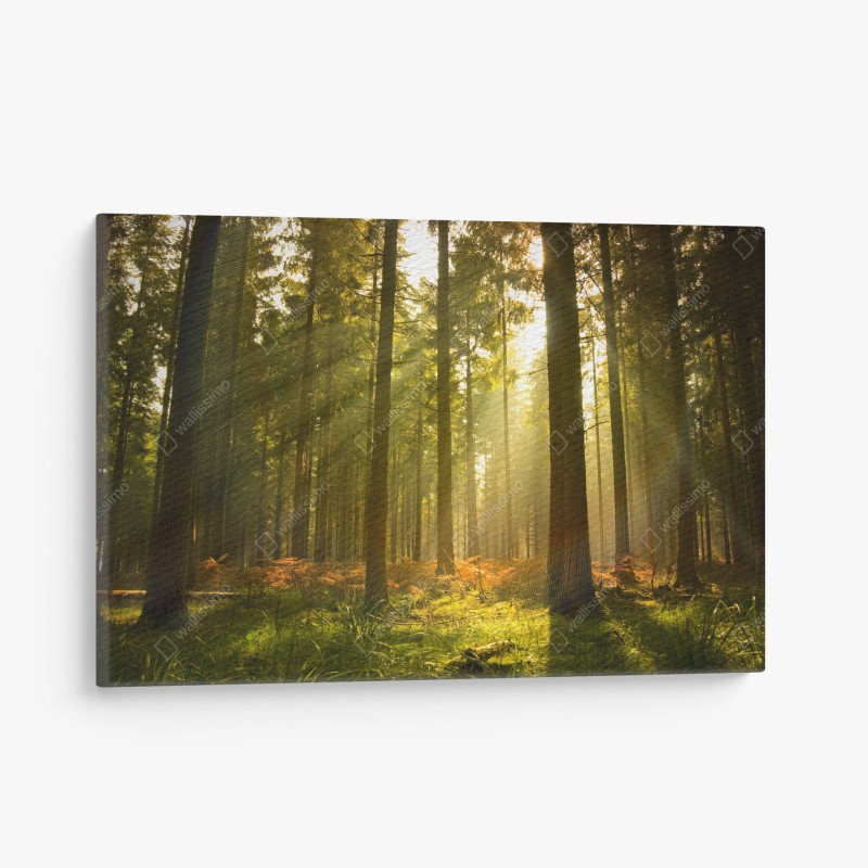 Tableau sur toile forêt dorée au crépuscule – Wallnifity® Tableau sur toile forêt dorée au crépuscule – Wallnifity®