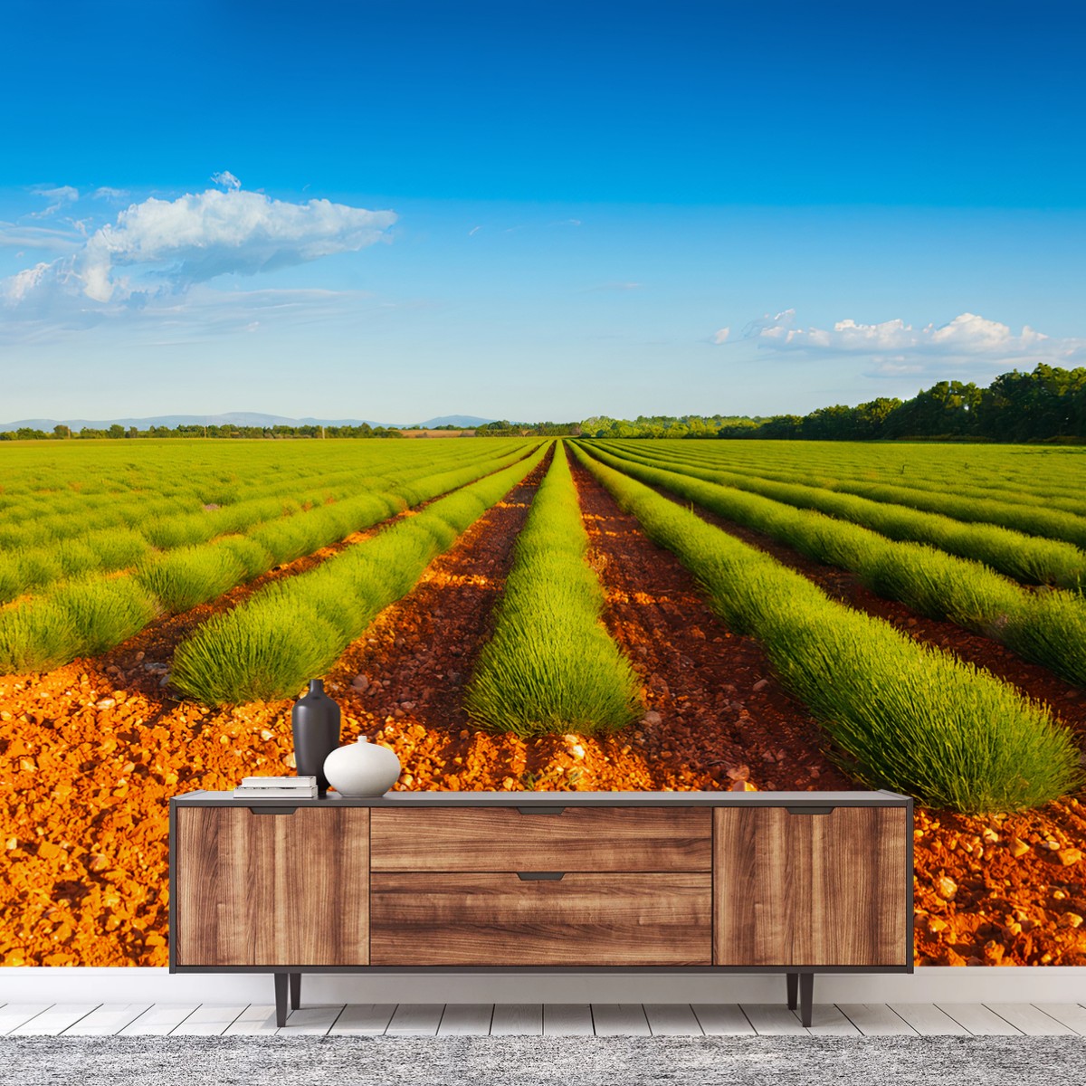 Papier peint LAVANDE CHAMP NATURE PAYSAGE SOLEIL POUR SALON – Wallnifity®
