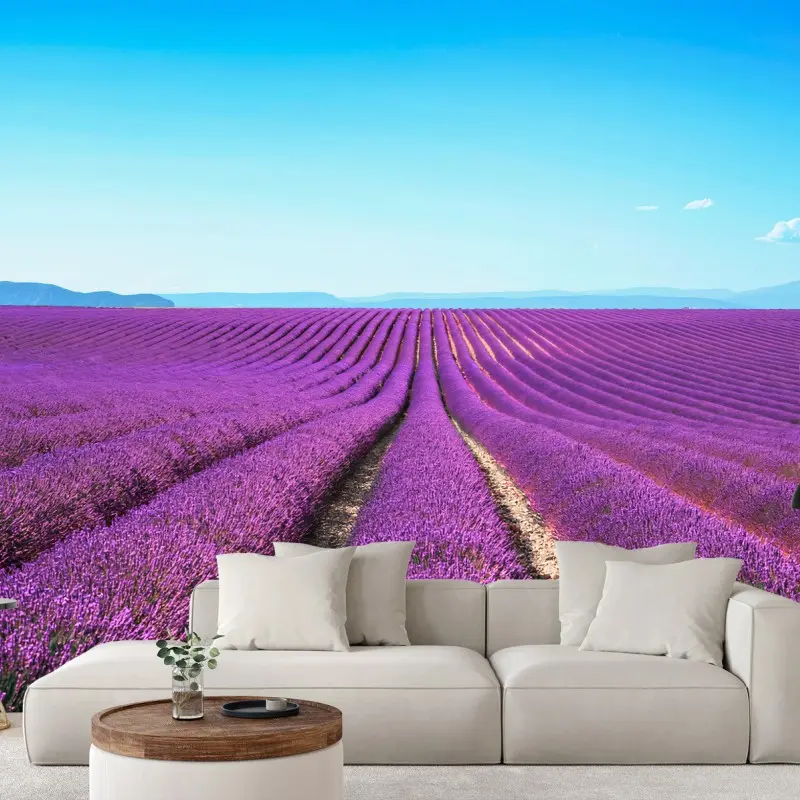 Salon – Wallnifity®